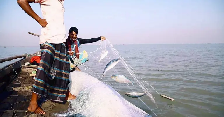 ৮ থেকে ২৯ অক্টোবর ইলিশ আহরণ বন্ধ